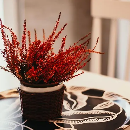 La Casa Del Cuore - Lakeside Leisure&business Apartamento *